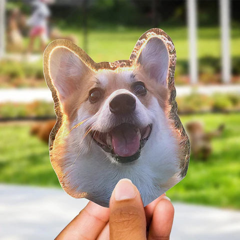 Custom Pet Sticker